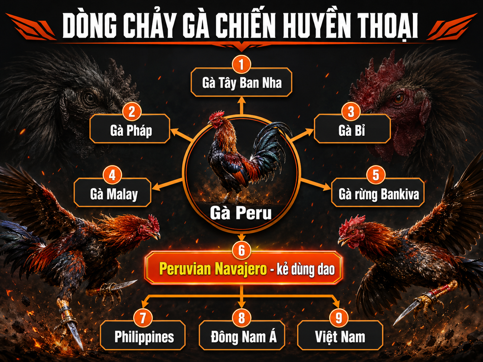Sơ đồ nguồn gốc gà Peru với các dòng lai tạo, trung tâm Peruvian Navajero và lan truyền tới Đông Nam Á Việt Nam