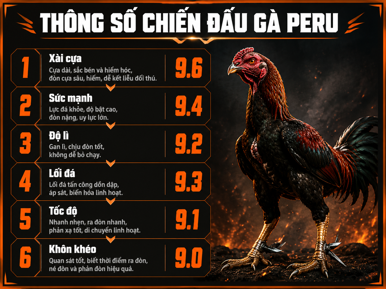 Bảng so sánh 6 chỉ số chiến đấu gà Peru với gà oai vệ đứng bên, phong cách dark combat, infographic dọc