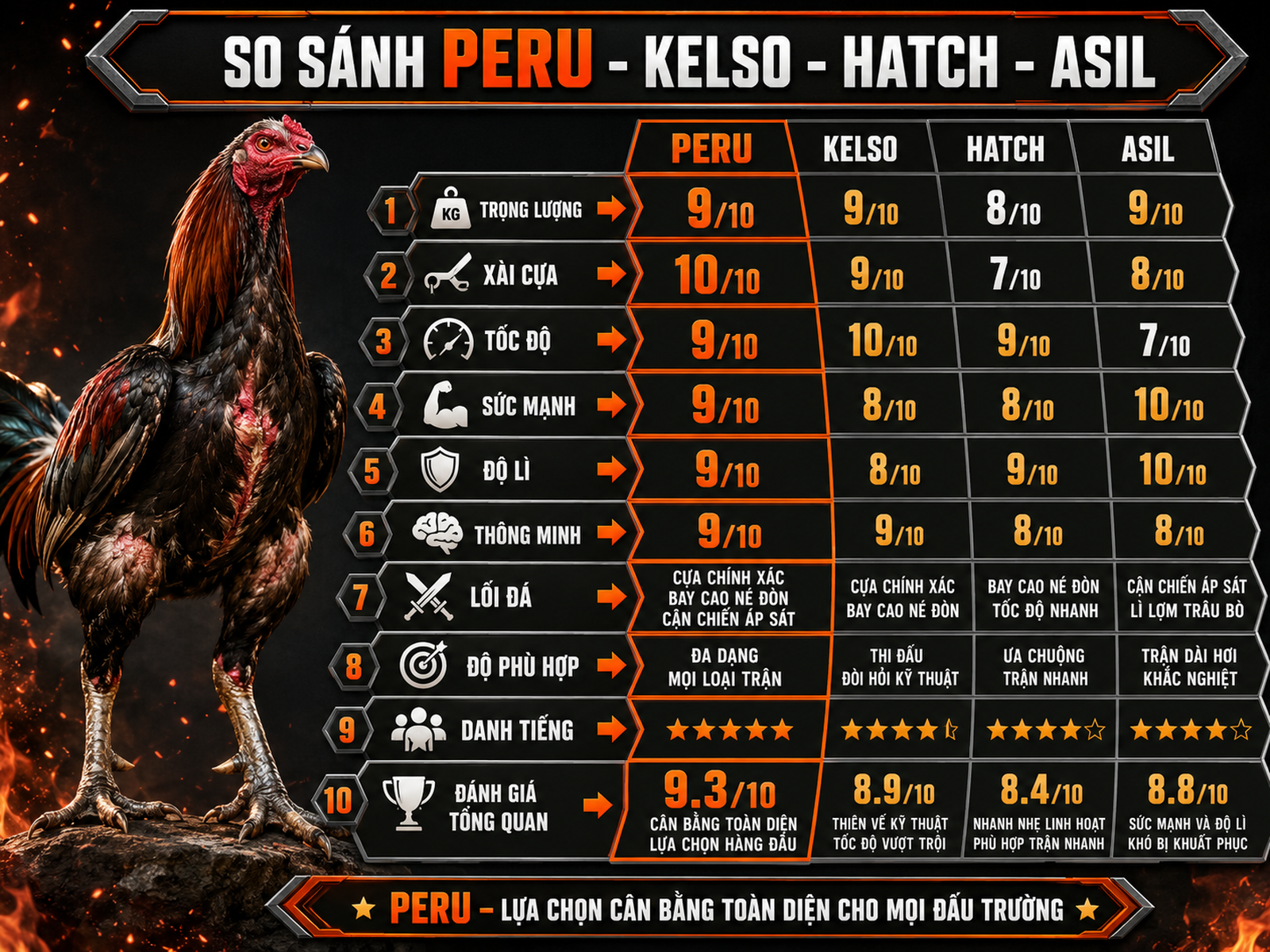 Infographic so sánh gà Peru, Kelso, Hatch và Asil theo tốc độ, sức mạnh và lối đá thực chiến