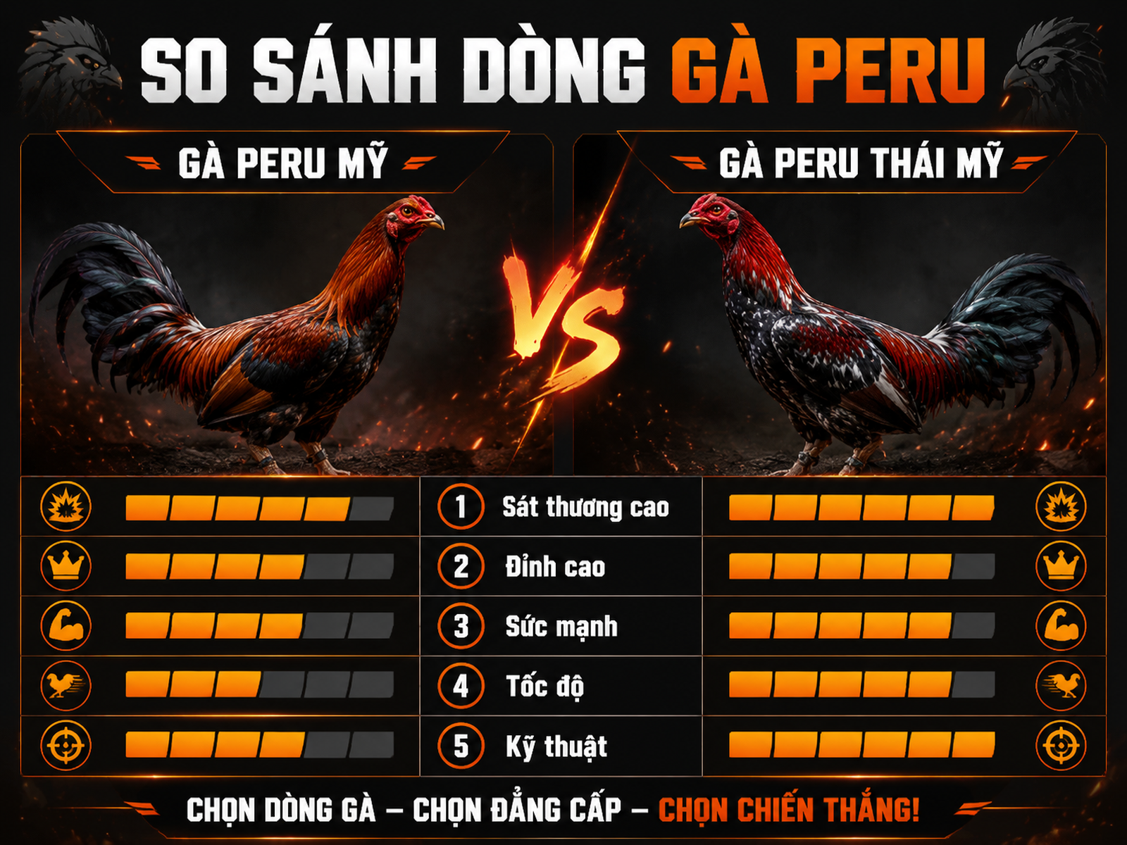 So sánh các dòng gà Peru lai phổ biến tại Việt Nam: Peru Mỹ vs Peru Thái Mỹ