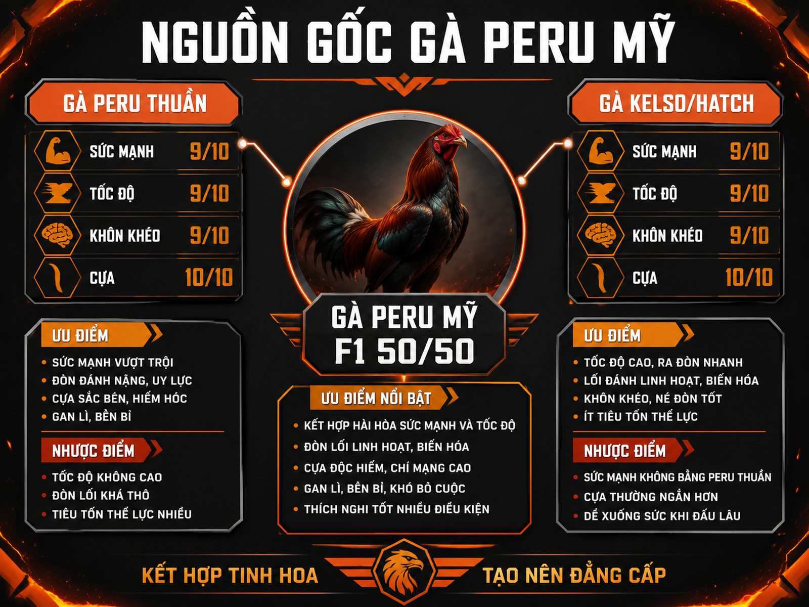 Sơ đồ so sánh lai tạo gà Peru Mỹ với Peru thuần và Kelso, hiển thị sức mạnh và kỹ năng