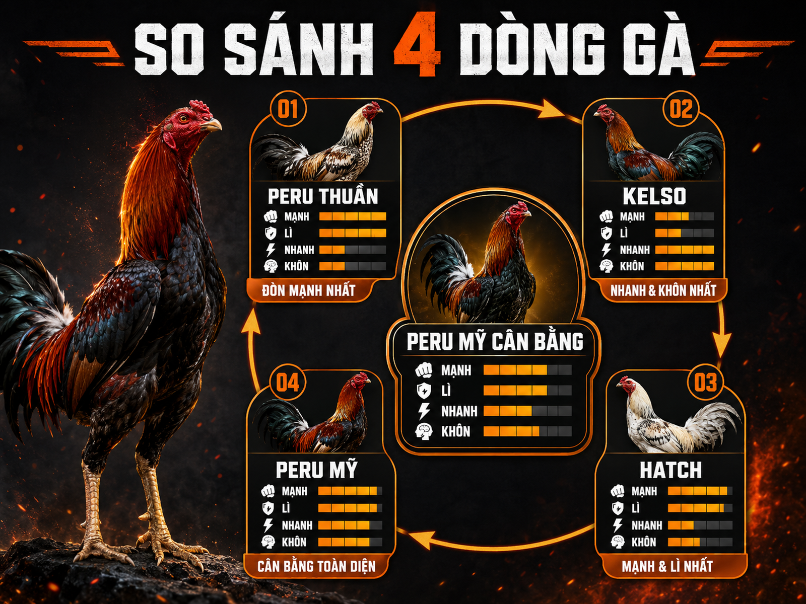 So sánh gà Peru Mỹ với Peru Thuần, Kelso và Hatch về sức mạnh, tốc độ, độ lì và khôn khéo.