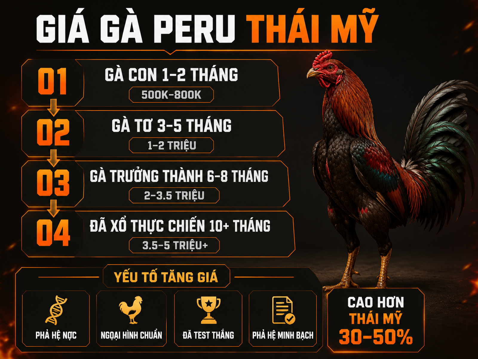 Infographic giá gà Peru Thái Mỹ theo độ tuổi và yếu tố ảnh hưởng giá