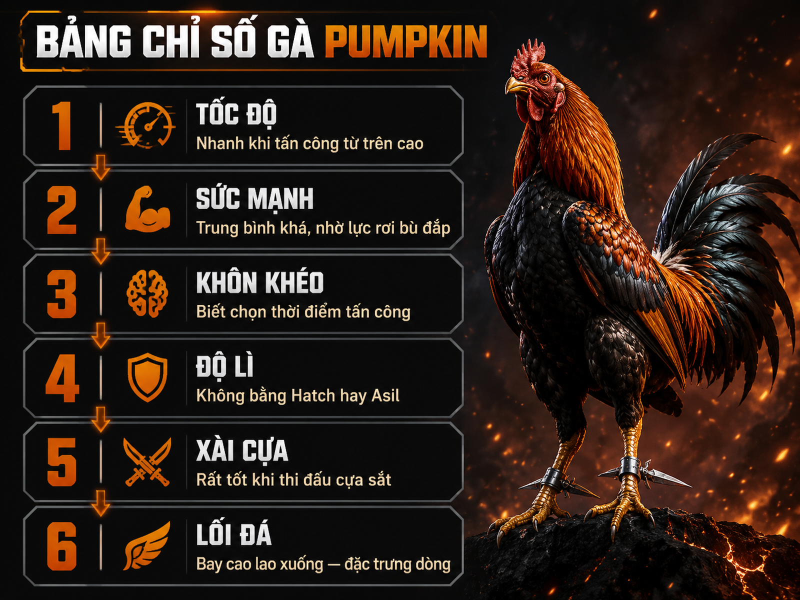 Bảng đánh giá chỉ số gà chiến Pumpkin với 6 thông số và chú thích, phong cách mạnh mẽ, oai vệ, nền tối có điểm lửa nhẹ, infographic dạng vertical list