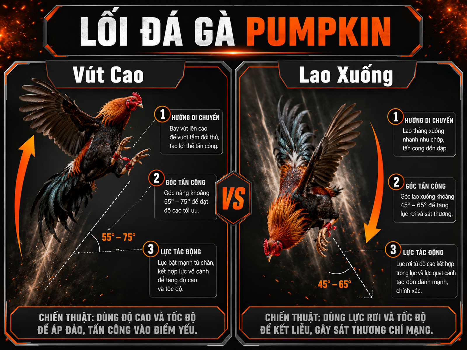 Hình ảnh diagram so sánh lối đá của gà Pumpkin, minh hoạ vút cao rồi lao xuống, nhãn thông tin rõ ràng, màu cam nhấn mạnh