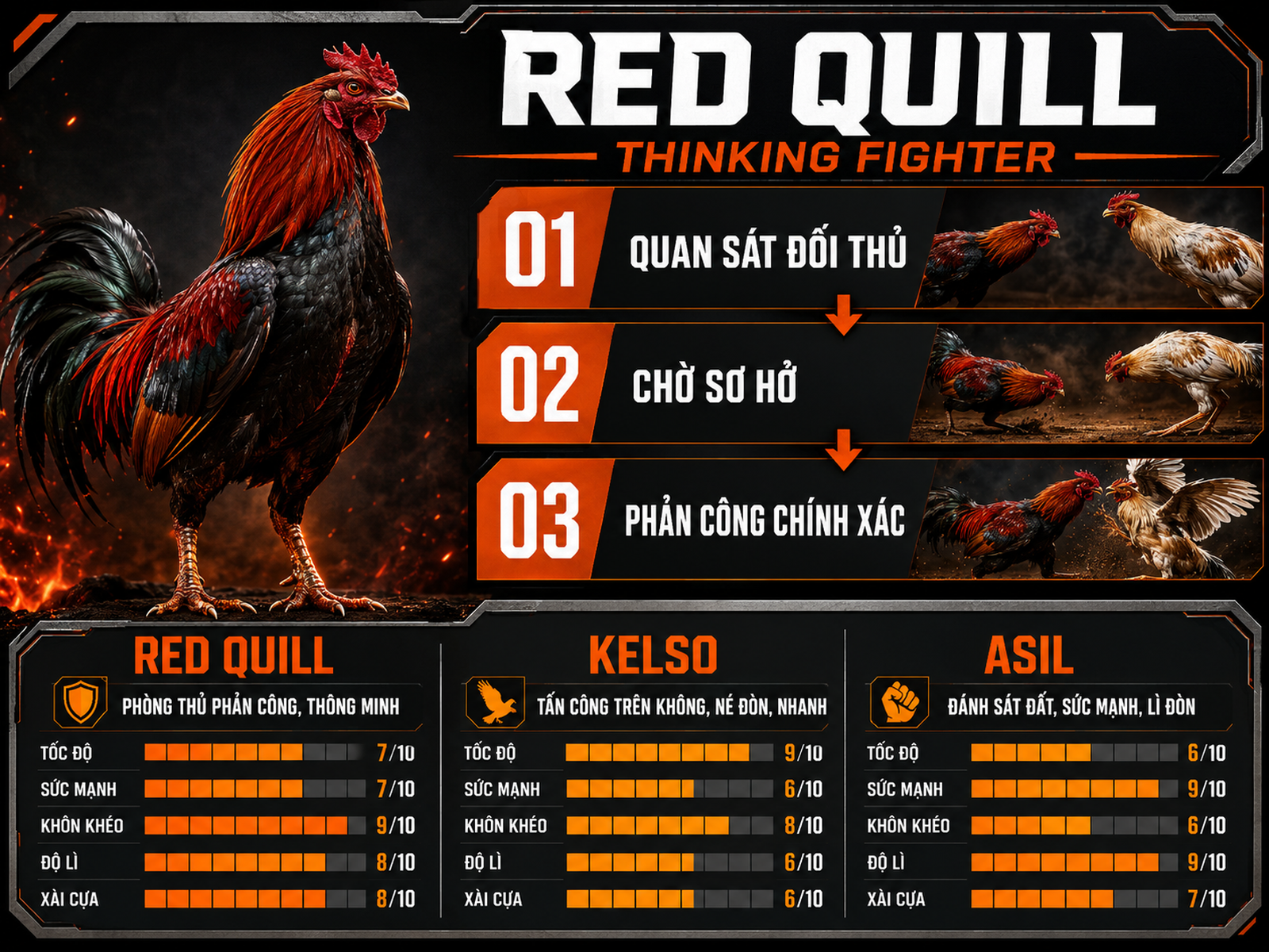 Infographic so sánh Red Quill, Kelso và Asil với lối đá phòng ngự phản công và chỉ số chiến đấu.