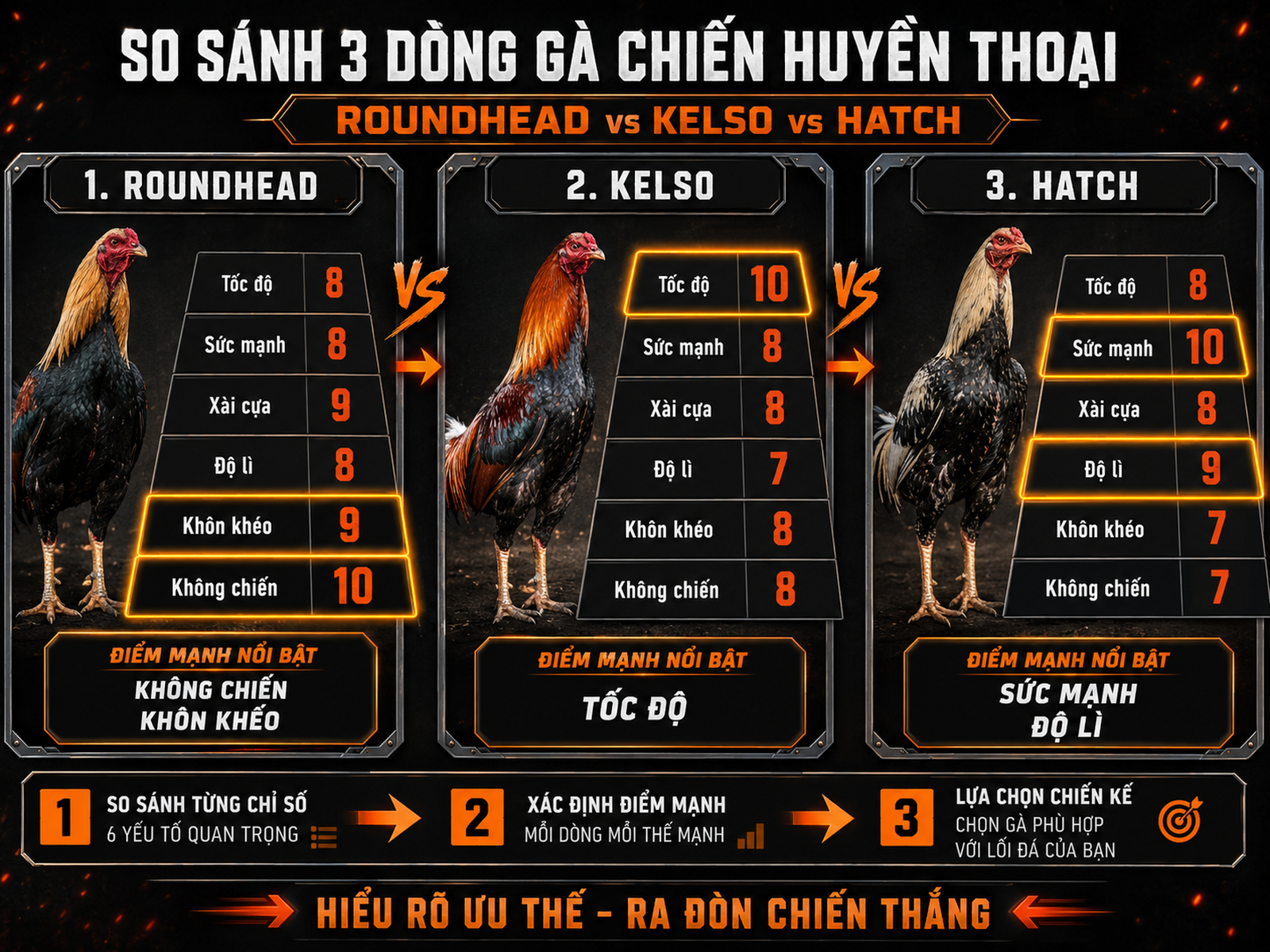 Bảng so sánh gà Roundhead, Kelso và Hatch theo chỉ số thực chiến, trực quan phễu phân tầng, nhấn mạnh Roundhead không chiến cao, Kelso nhanh, Hatch lì đòn