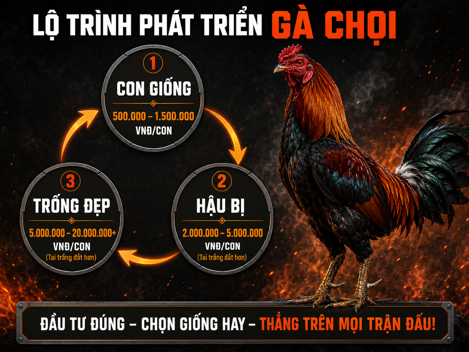 <vi>Infographic so sánh bảng giá gà rừng Việt Nam theo phân khúc Con giống, Hậu bị, Trống đẹp; nhấn mạnh tai trắng đắt hơn, phong cách combat dark</vi>