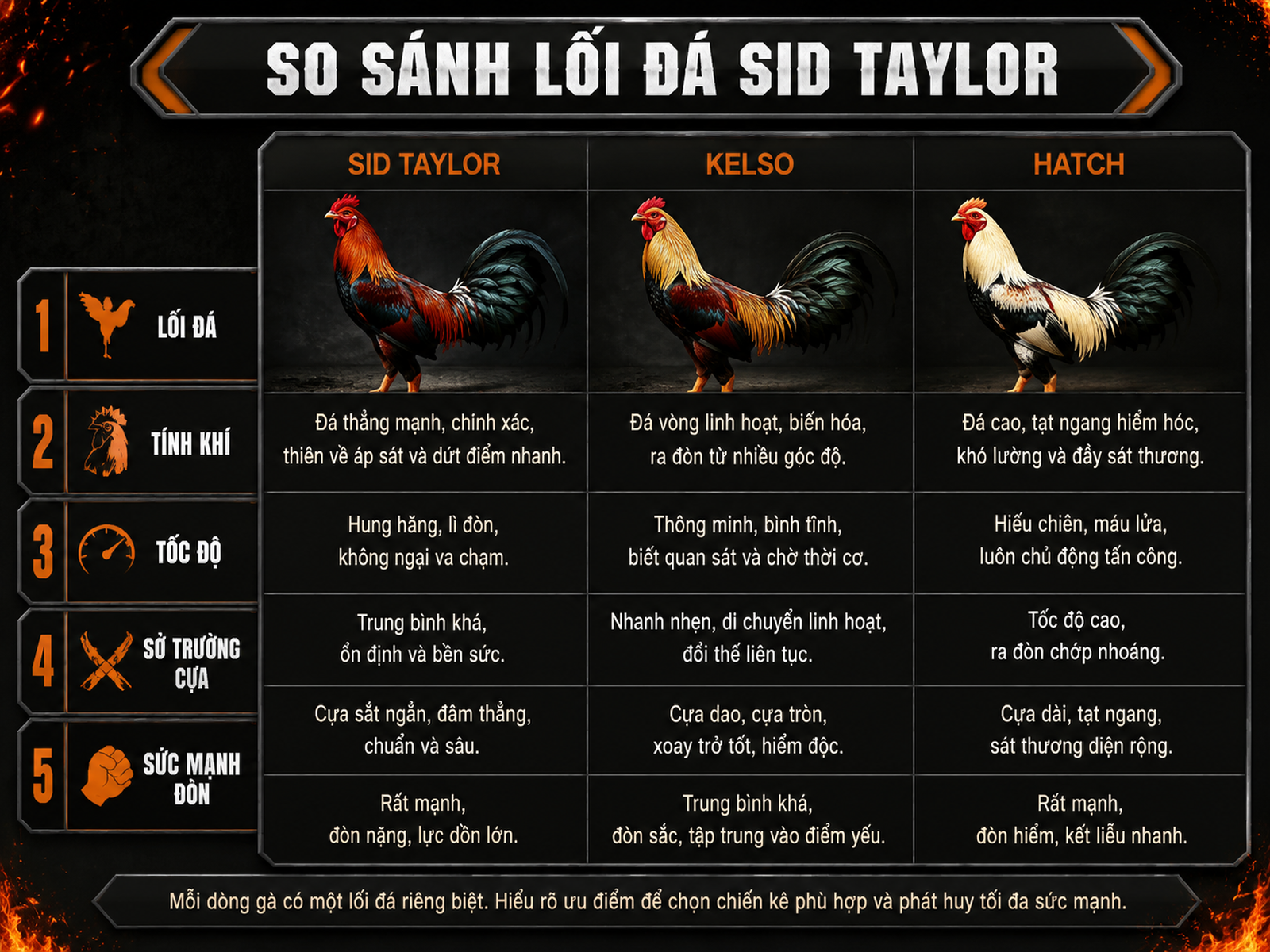 So sánh lối đá và tính khí Sid Taylor, Kelso, Hatch với hình gà chiến oai vệ