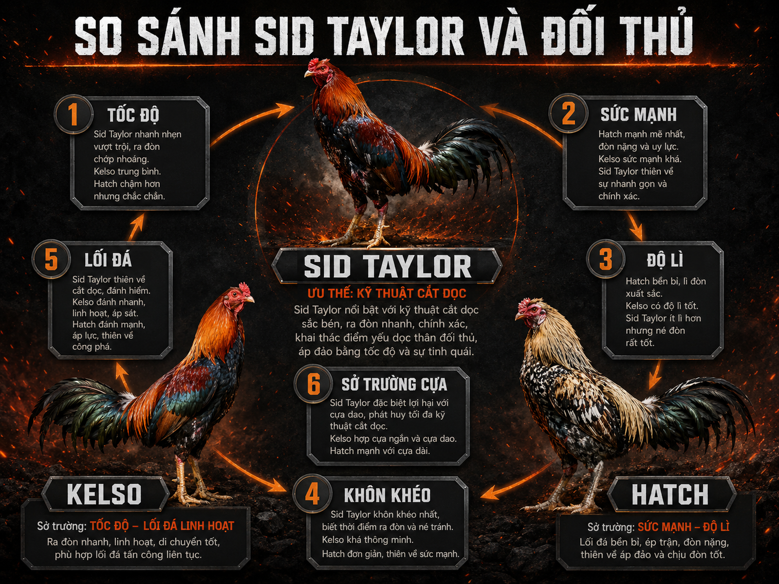 So sánh Sid Taylor, Kelso, Hatch về tốc độ, sức mạnh, độ lì, khôn khéo và lối đá, hình ảnh gà chiến oai vệ