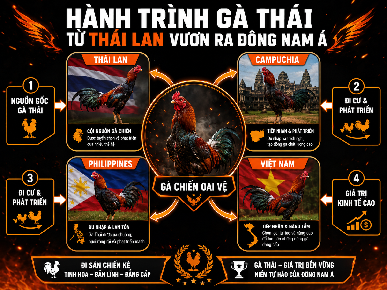 Nguồn Gốc và Lịch Sử Dòng Gà Thái