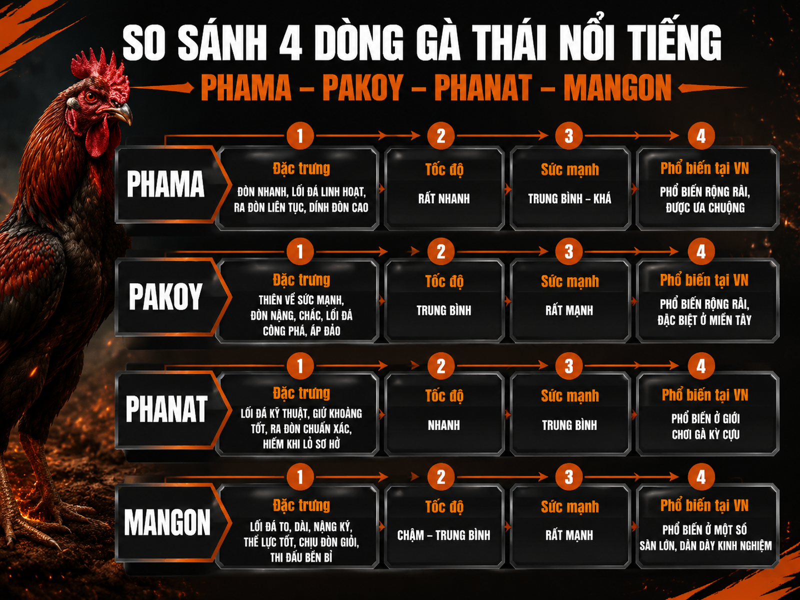 Các nhánh gà Thái phổ biến: Phama, Pakoy, Phanat, Mangon, đặc trưng và sức mạnh