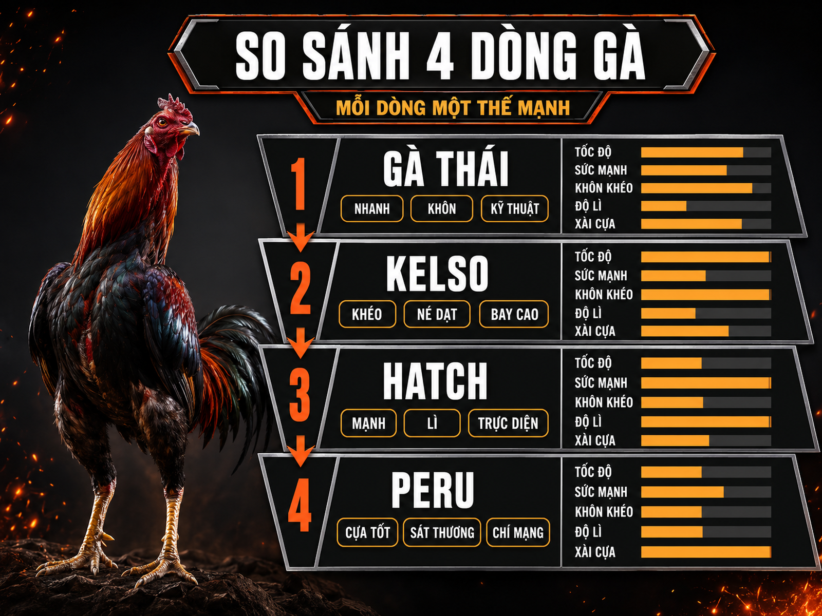 So sánh gà Thái, Kelso, Hatch và Peru theo tốc độ, sức mạnh, độ lì, kỹ thuật và khả năng dùng cựa.