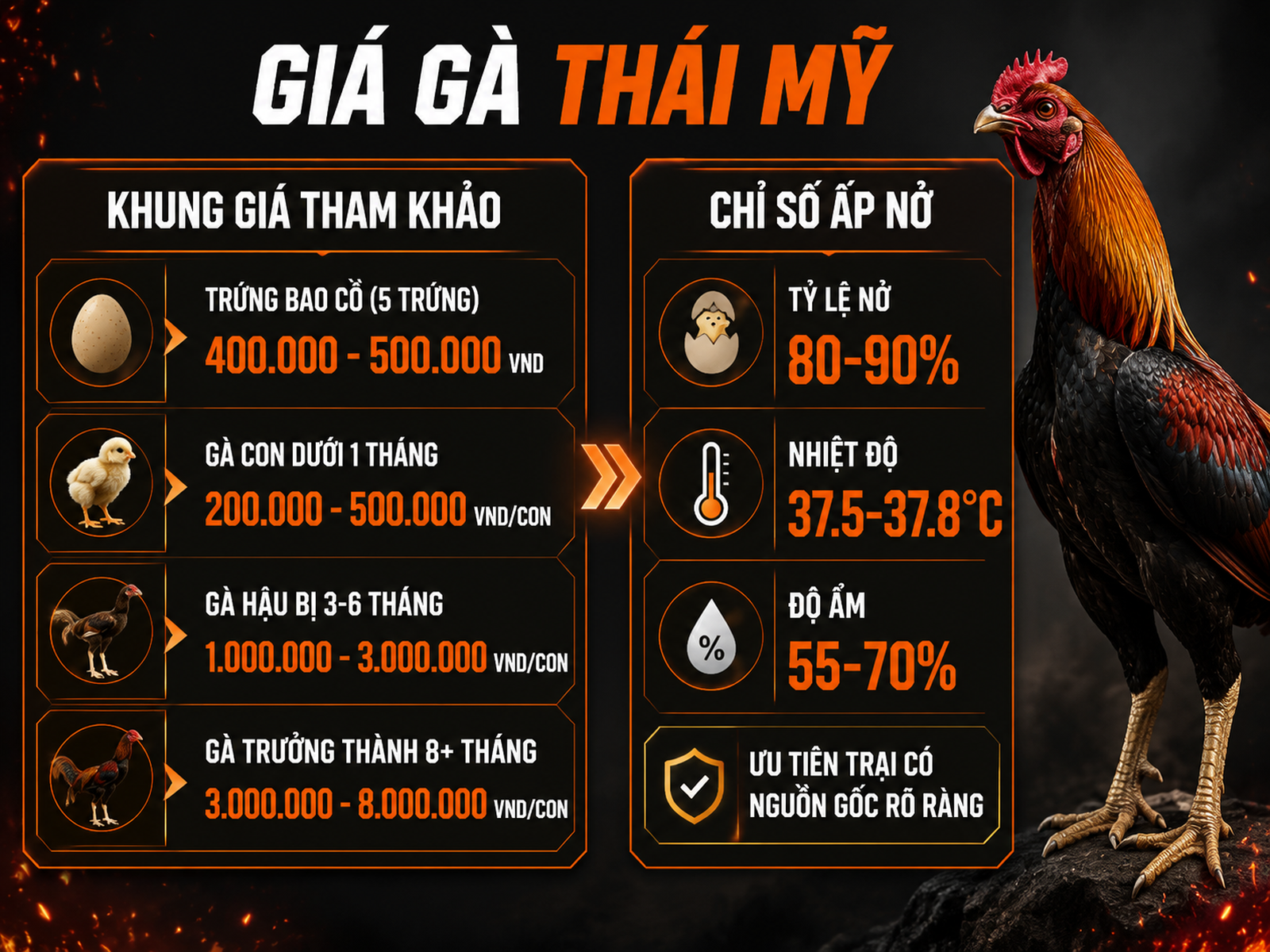 Infographic giá gà Thái Mỹ và trứng bao cồ tham khảo, khung giá theo độ tuổi cùng tỷ lệ ấp nở và thông số ấp chuẩn.
