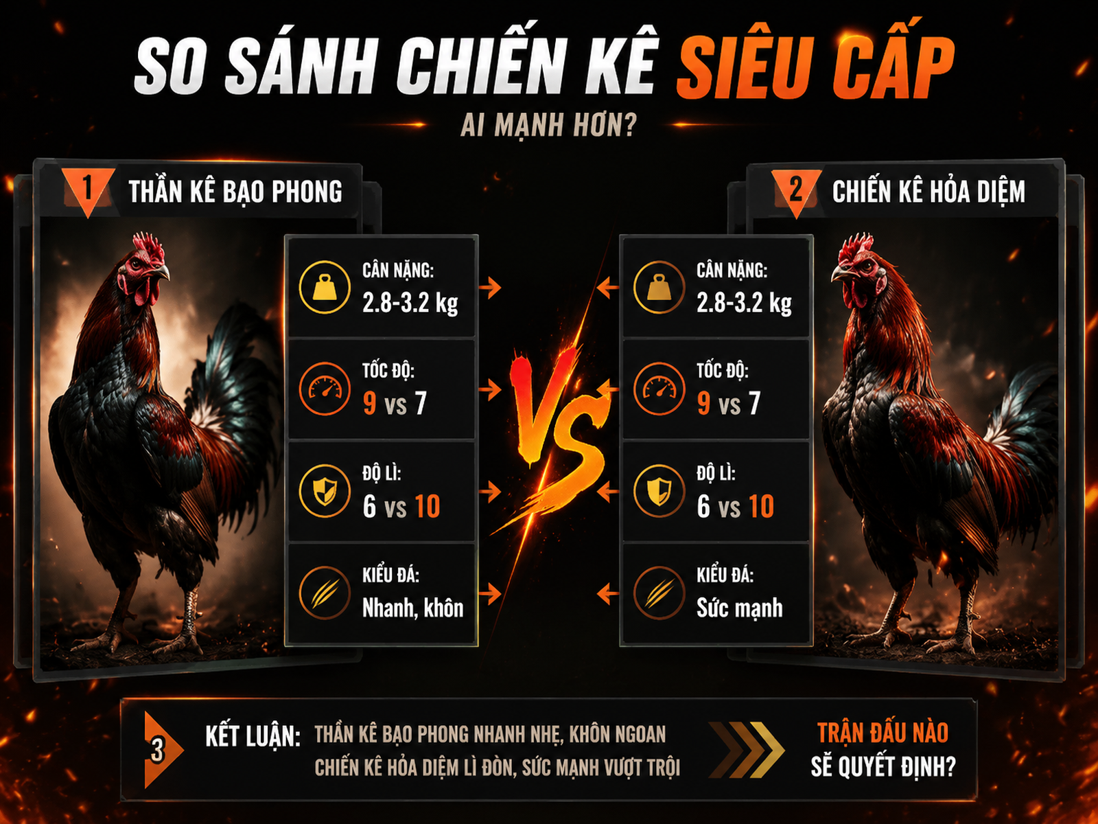<vi SEO>Infographic so sánh gà Thái Mỹ và Asil Mỹ về cân nặng, tốc độ, độ lì và kiểu đá</vi>