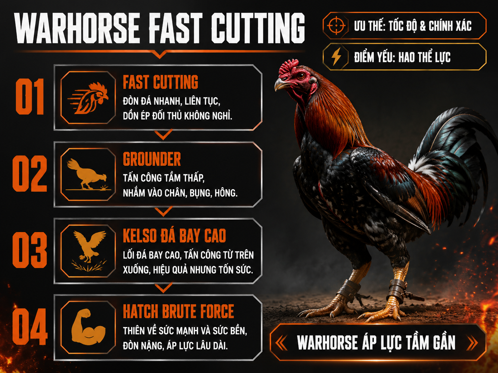 So sánh phong cách chiến đấu Warhorse Fast Cutting và Grounder với Kelso, Hatch, Asil trong trường cựa sắt