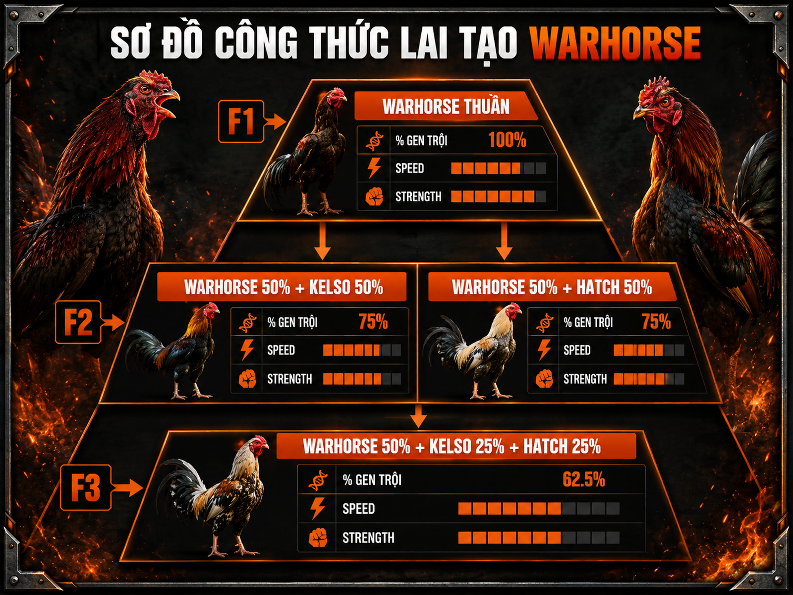 Sơ đồ phân tầng các công thức lai gà Warhorse, tóm tắt tốc độ, sức mạnh, tỷ lệ pha máu F1