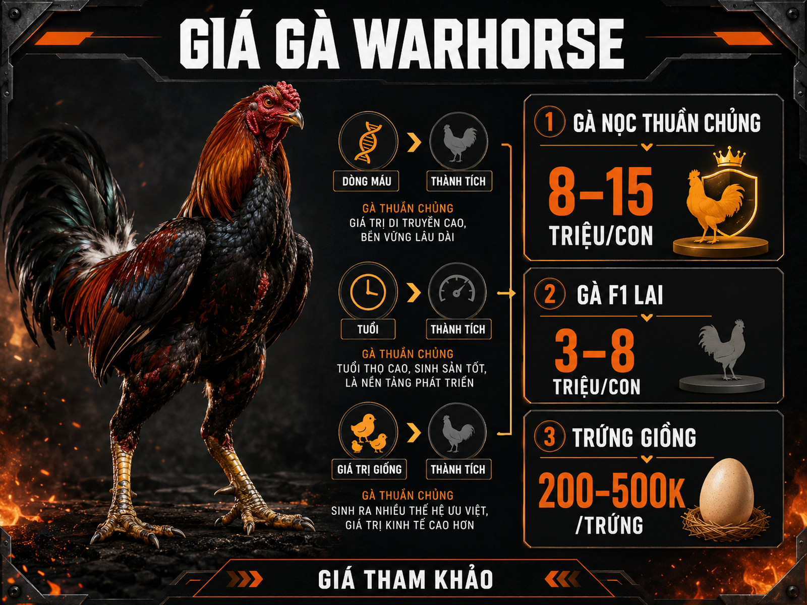 Infographic bảng giá tham khảo gà Warhorse gồm gà nọc thuần chủng, gà F1 lai và trứng giống