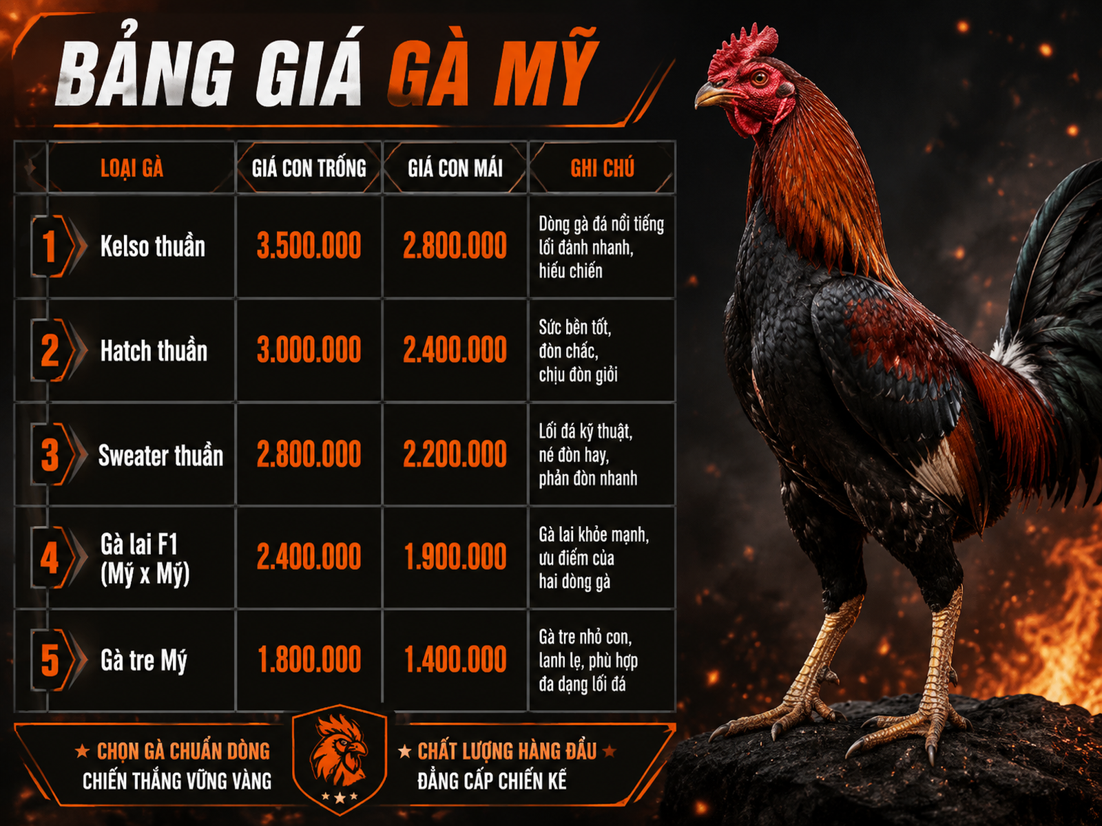 Bảng so sánh giá gà Mỹ theo dòng, trống-mái, nổi bật với gà chiến oai vệ, phong cách mạnh mẽ