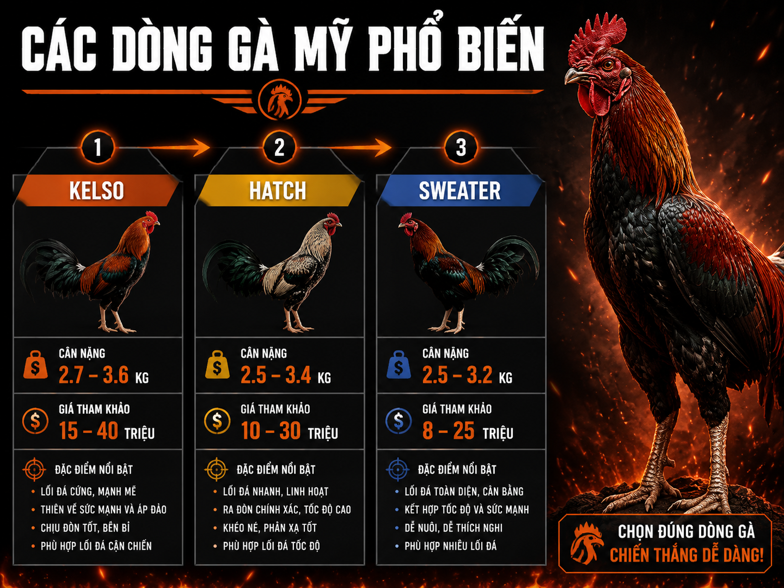 So sánh các dòng gà Mỹ phổ biến tại Việt Nam, trọng lượng, giá và đặc điểm