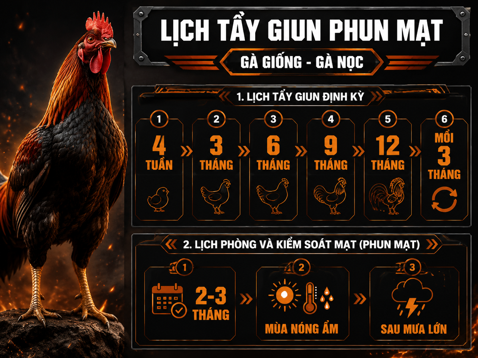 Infographic lịch tẩy giun sán và phun mạt định kỳ 12 tháng cho gà giống, các mốc tuổi và chu kỳ chăm sóc quan trọng.