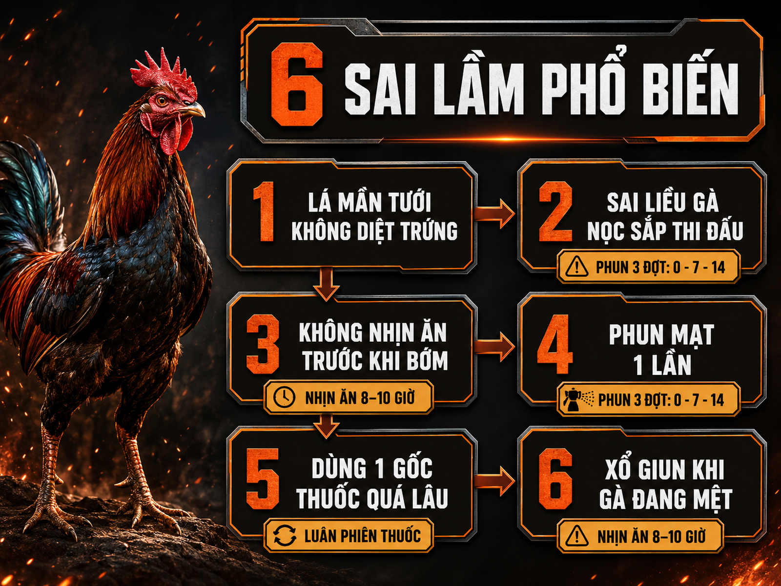 Infographic 6 sai lầm thường gặp khi tẩy giun trị mạt cho gà nọc và cách tránh hiệu quả