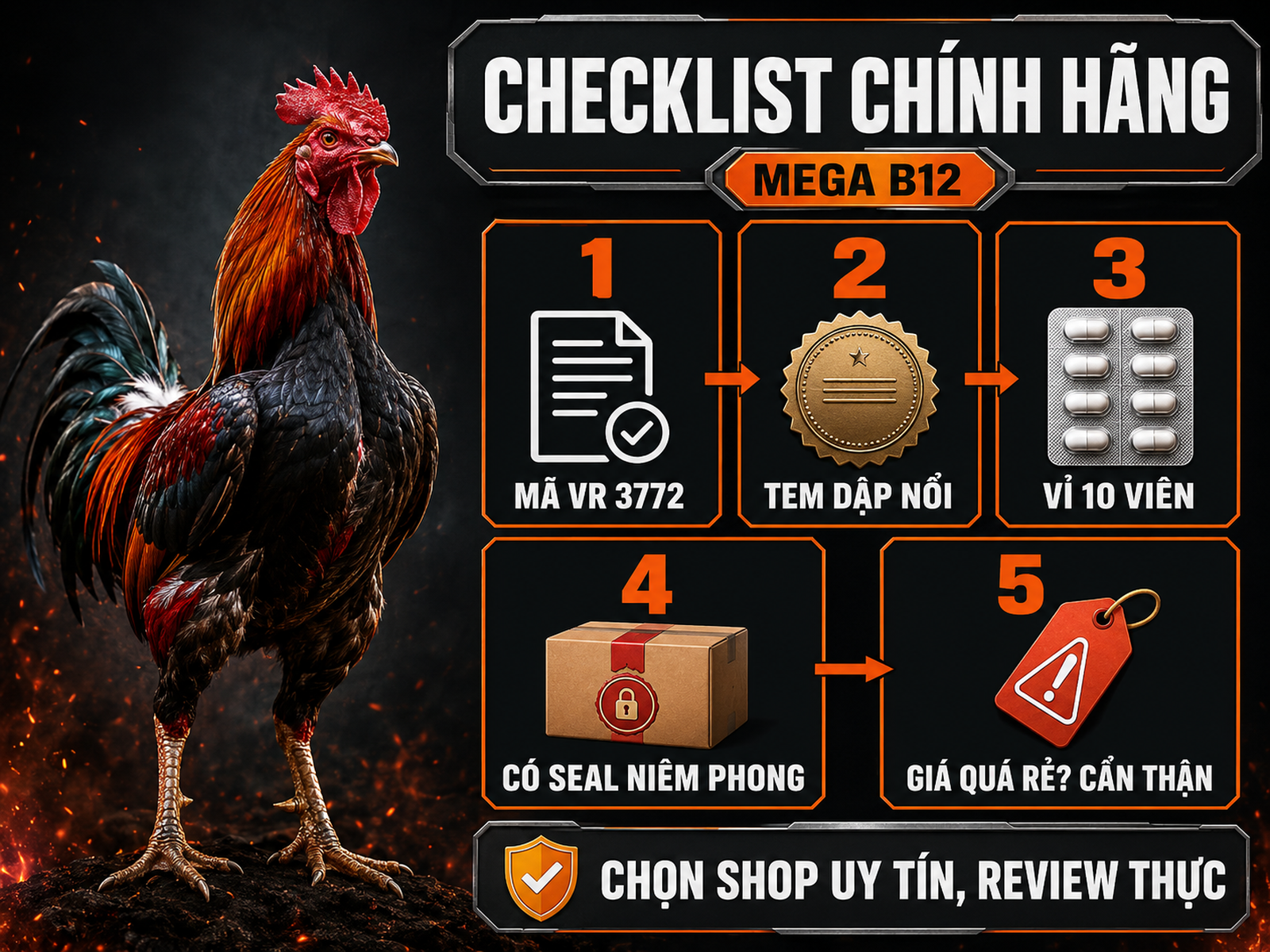 Infographic nhận biết Mega B12 Tatak Excellence chính hãng qua mã VR 3772, tem dập nổi, vỉ 10 viên, seal niêm phong và giá tham khảo.