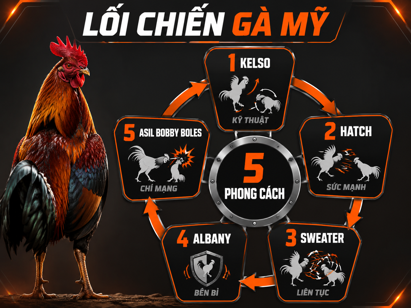 So sánh phong cách chiến đấu Kelso Hatch Sweater Albany Asil Bobby Boles bằng infographic vòng tròn nhận diện lối đá