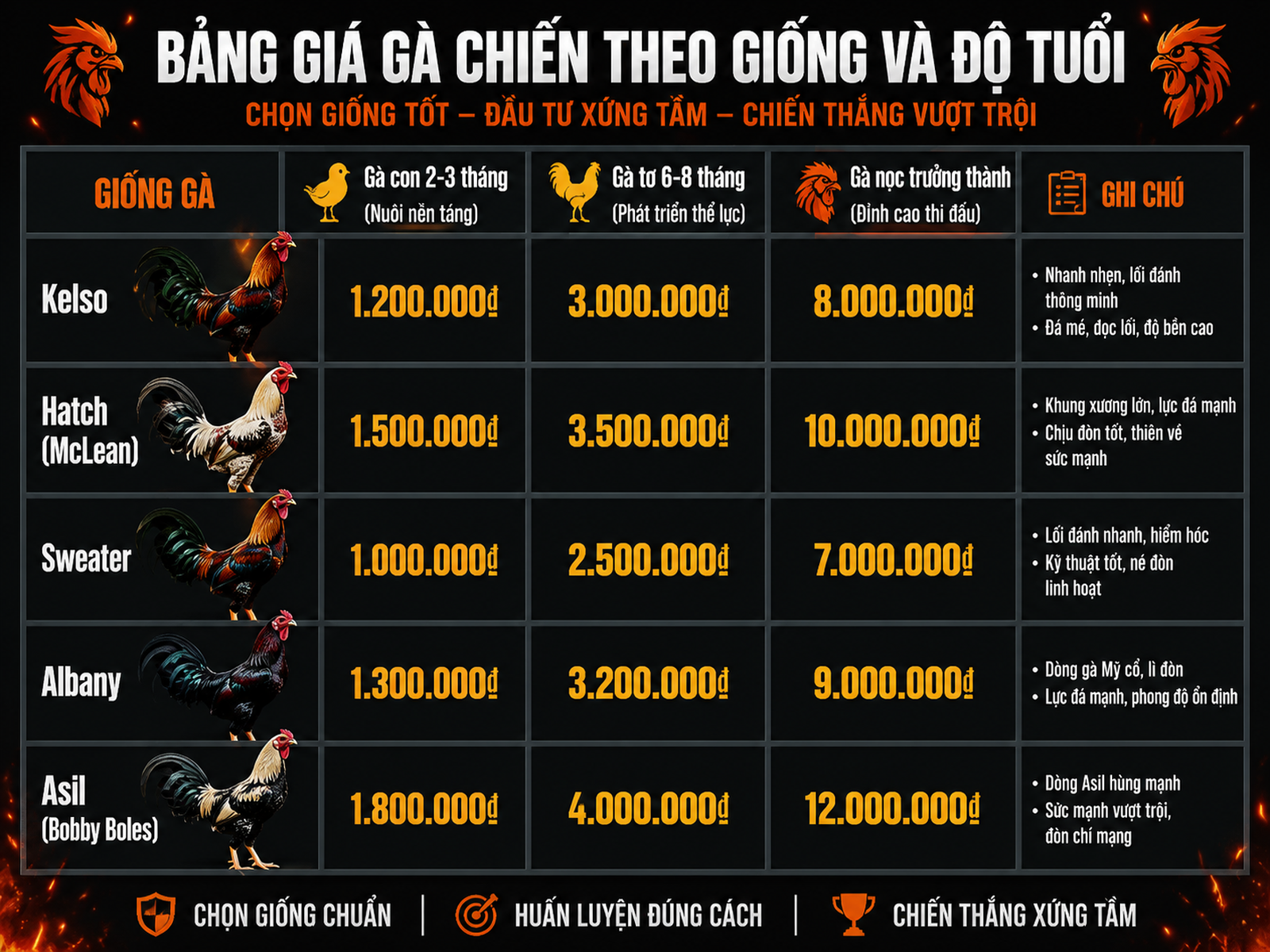 Bảng so sánh giá gà Mỹ rặc theo dòng và tuổi tại Việt Nam, dễ đọc, trực quan