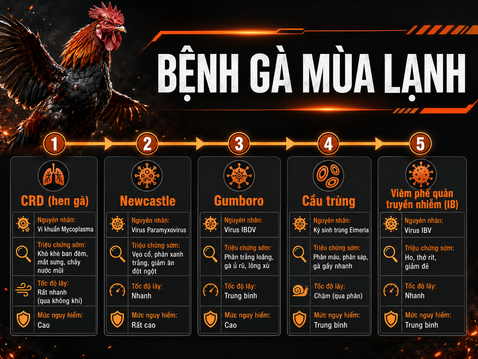 Các bệnh thường gặp ở gà mùa lạnh