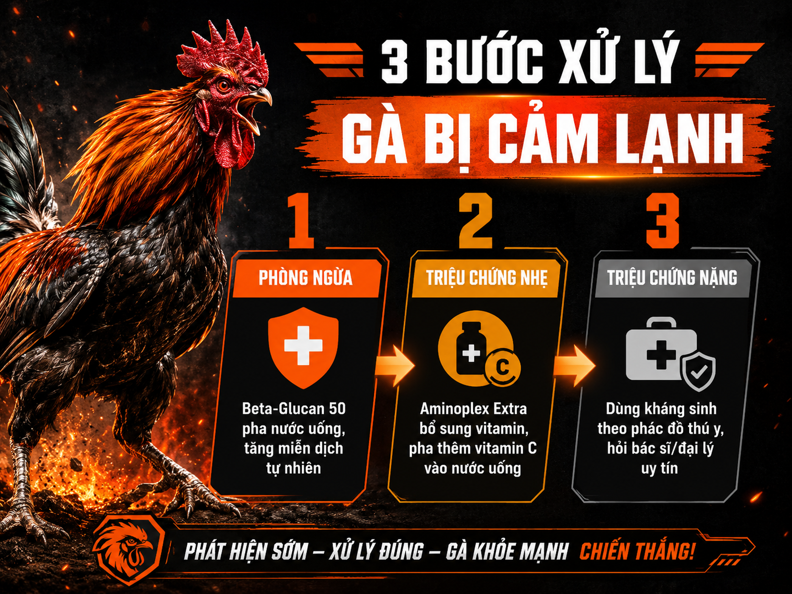 Quy trình chọn thuốc cho gà mùa lạnh, từ phòng ngừa đến triệu chứng nặng, hiển thị rõ từng bước và nhãn thông tin