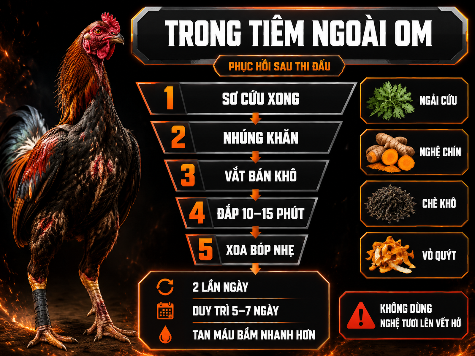 Infographic quy trình om bóp thảo dược cho gà đá sau thi đấu, kết hợp trong tiêm ngoài om theo hướng dẫn thực chiến.