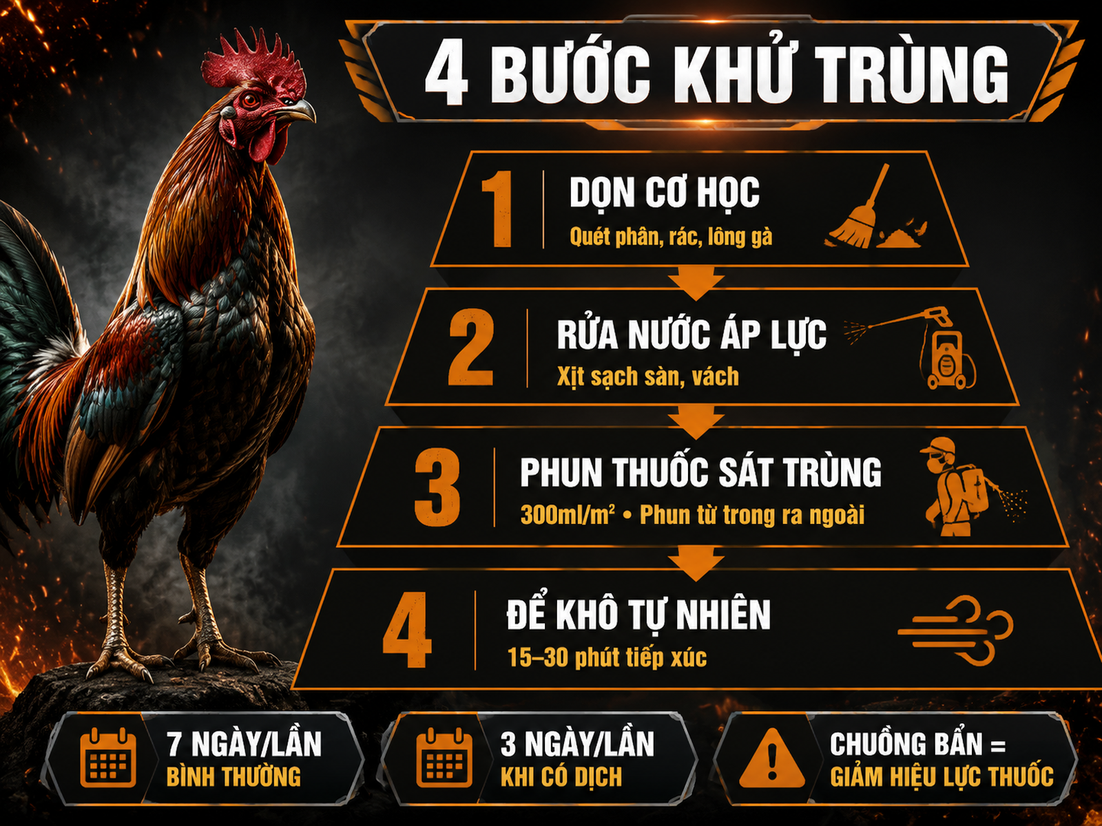 Infographic quy trình phun khử trùng chuồng gà 4 bước từ dọn cơ học đến để khô tự nhiên