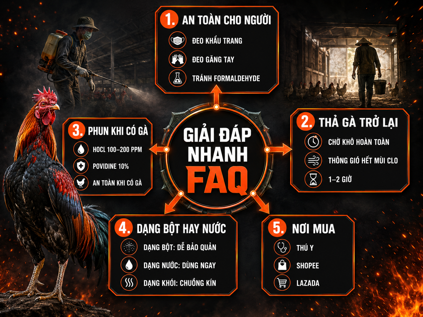 Infographic giải đáp câu hỏi thường gặp về thuốc khử trùng chuồng trại cho gà với phân loại an toàn, thời gian chờ và dạng thuốc