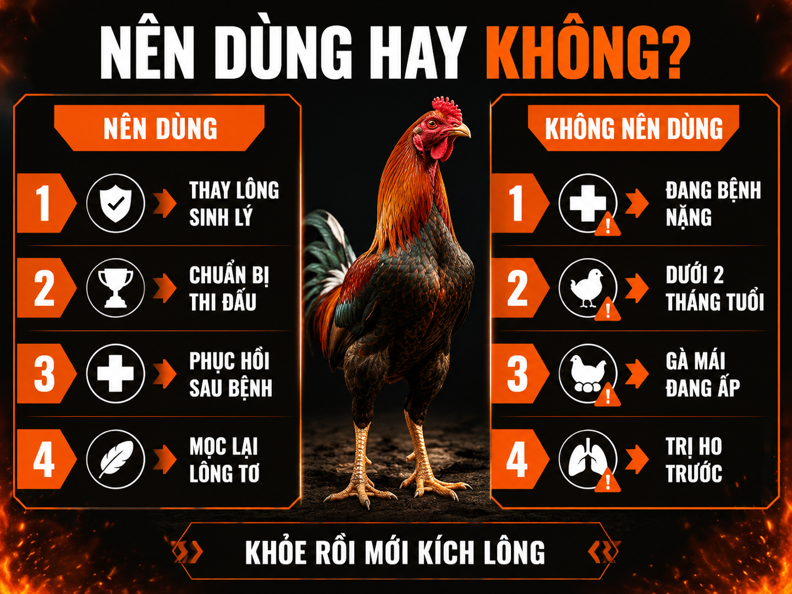 So sánh khi nào nên dùng và không nên dùng thuốc kích lông gà đá