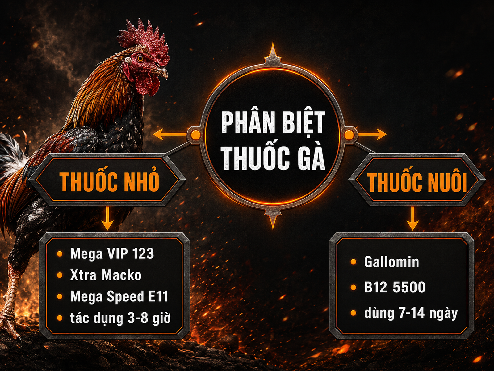so sánh Thuốc nhỏ và Thuốc nuôi cho gà chiến, nhãn sản phẩm và tác dụng, layout radial hub-and-spoke