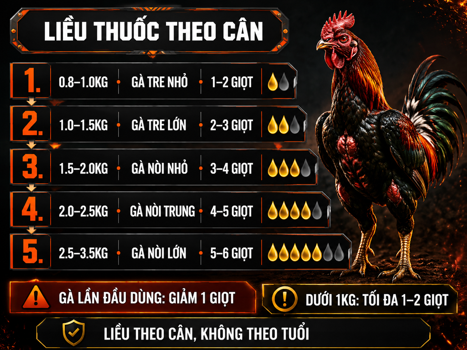 Infographic liều lượng thuốc nhỏ gà theo cân nặng từ 0.8kg đến 3.5kg, kèm lưu ý giảm liều cho gà lần đầu dùng