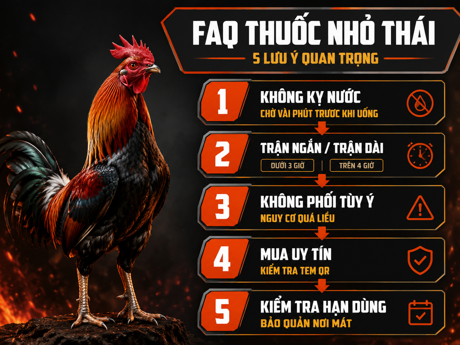 Infographic câu hỏi thường gặp về thuốc nhỏ gà Thái Lan: kỵ nước, trận ngắn dài, phối thuốc, mua uy tín, hạn sử dụng
