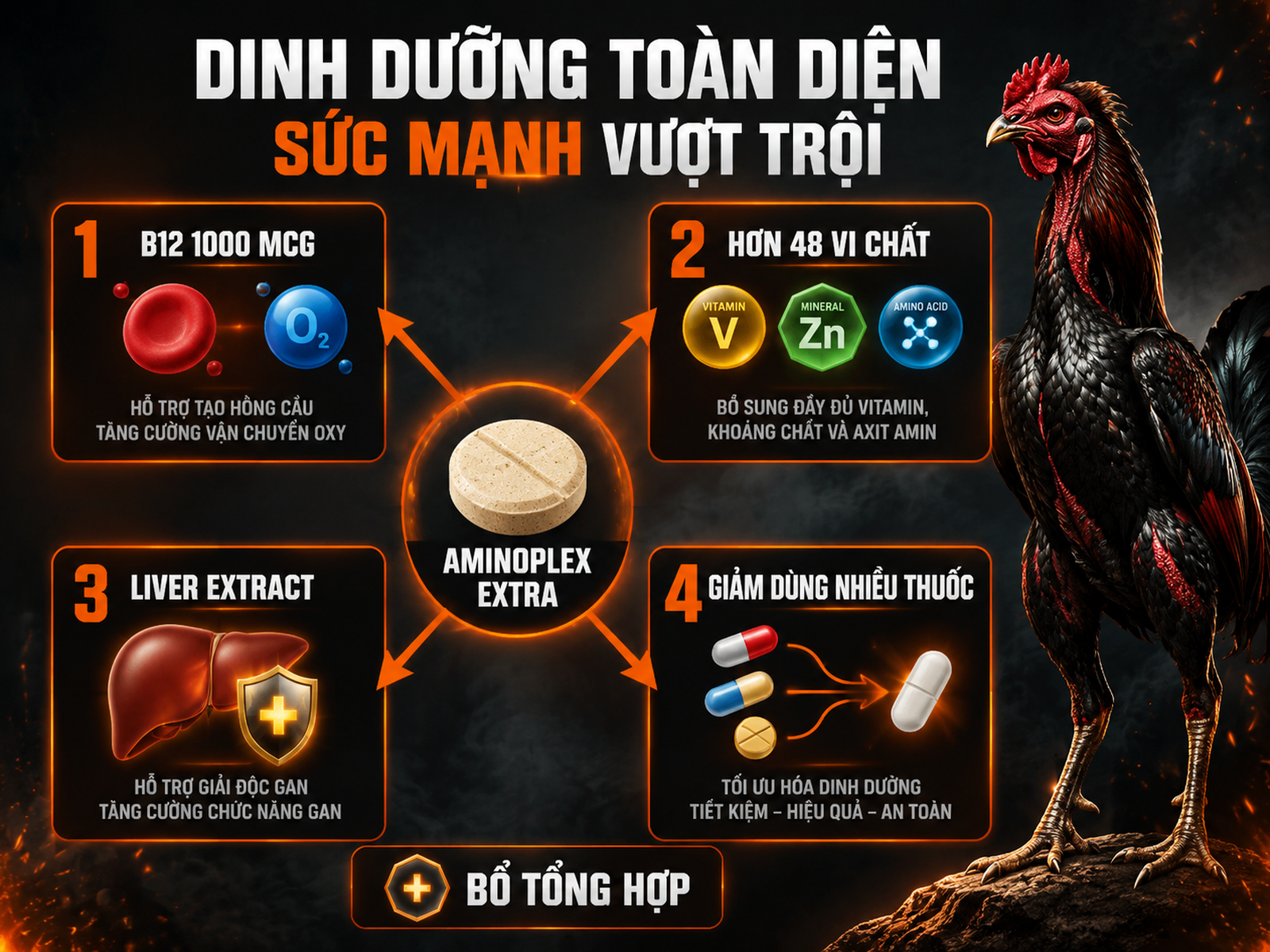 Sơ đồ thành phần và lợi ích Aminoplex Extra cho gà đá với B12, Liver Extract và vi chất tổng hợp