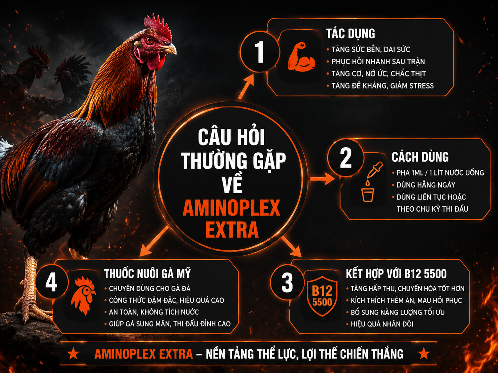 Minh hoạ FAQ Aminoplex Extra cho gà chiến, infographic radial hub-and-spoke, dark combat style