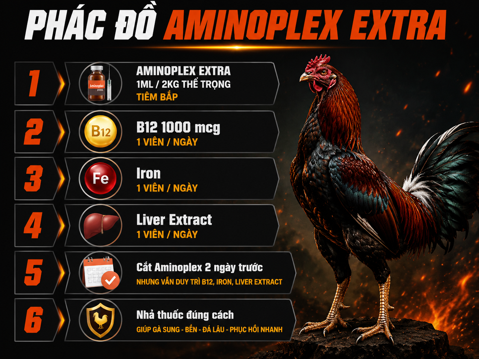 Phác đồ 28 ngày Aminoplex Extra cho gà chiến, từng bước liều dùng và nhãn chất bổ, infographic dọc.