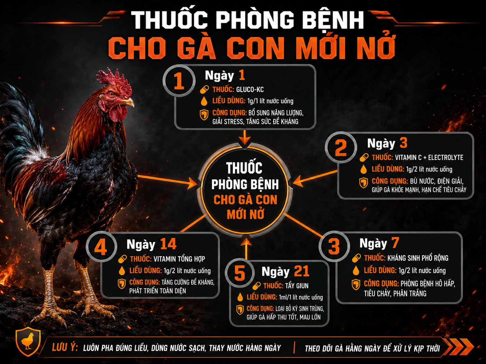 Sơ đồ các loại thuốc phòng bệnh cho gà con mới nở từ ngày 1 đến 21, infographic radial hub-and-spoke