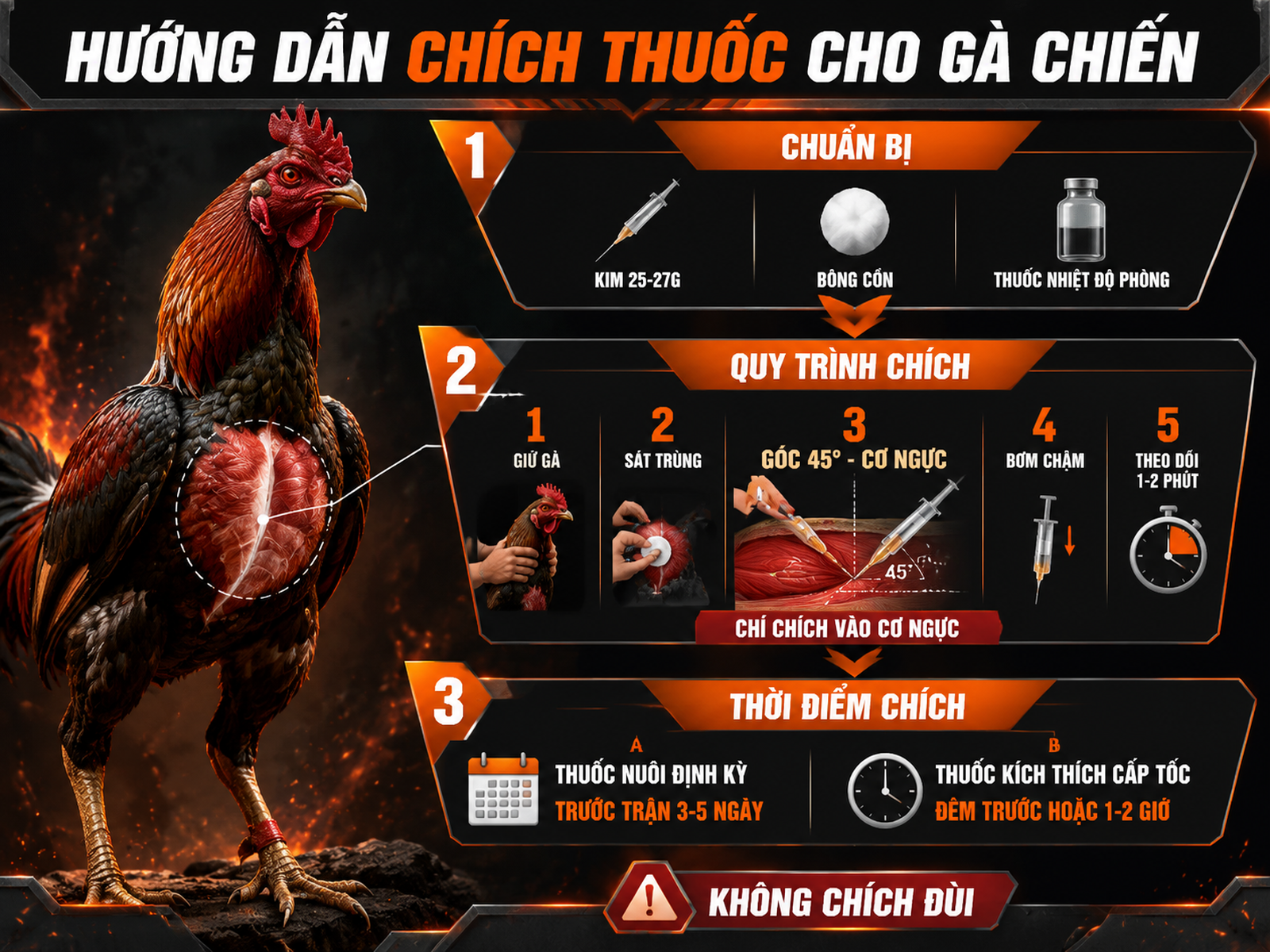 Infographic kỹ thuật chích thuốc gà chiến đúng vị trí góc tiêm và thời điểm theo từng nhóm thuốc