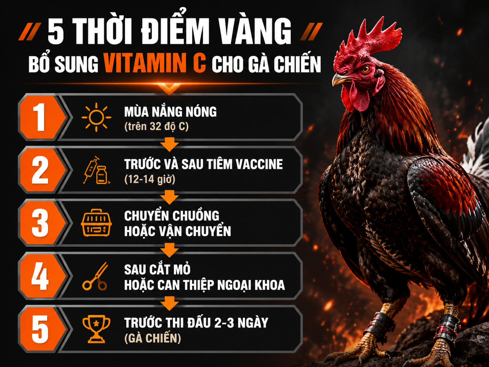 5 Thời Điểm Cần Bổ Sung Vitamin C Cho Gà