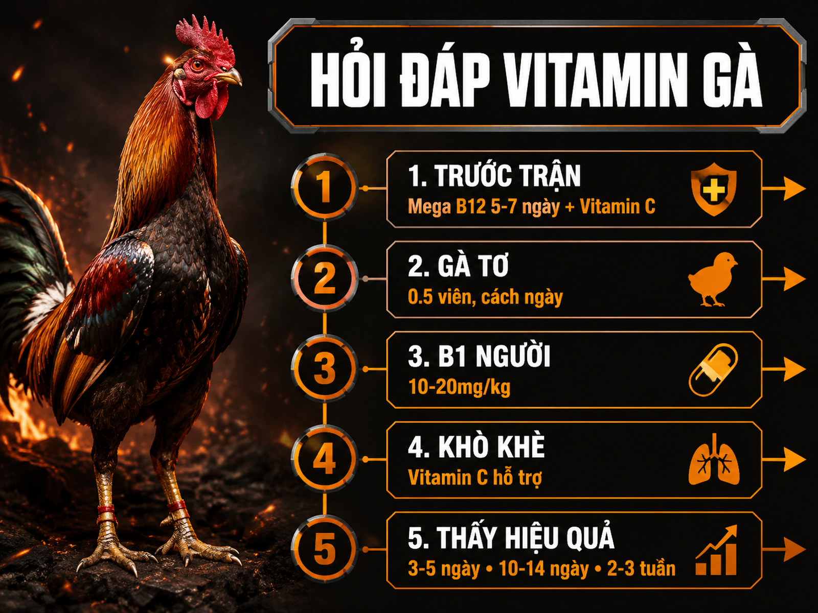 Infographic câu hỏi thường gặp về vitamin cho gà với mốc dùng Mega B12, vitamin C và thời gian thấy hiệu quả